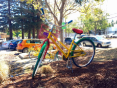 Google bikes were a common sight during our visit to Googleplex. Employees are provided access to these Google branded cycles for traveling across the enormous campus.
